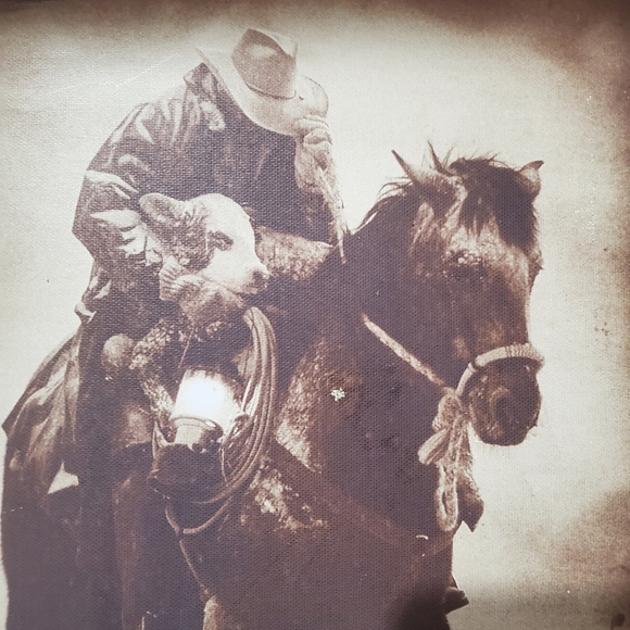 David Stoecklein " Winter Save Barnwood Shadow Box". Western  Wood  Barbwire.Art - Picture 2 of 8